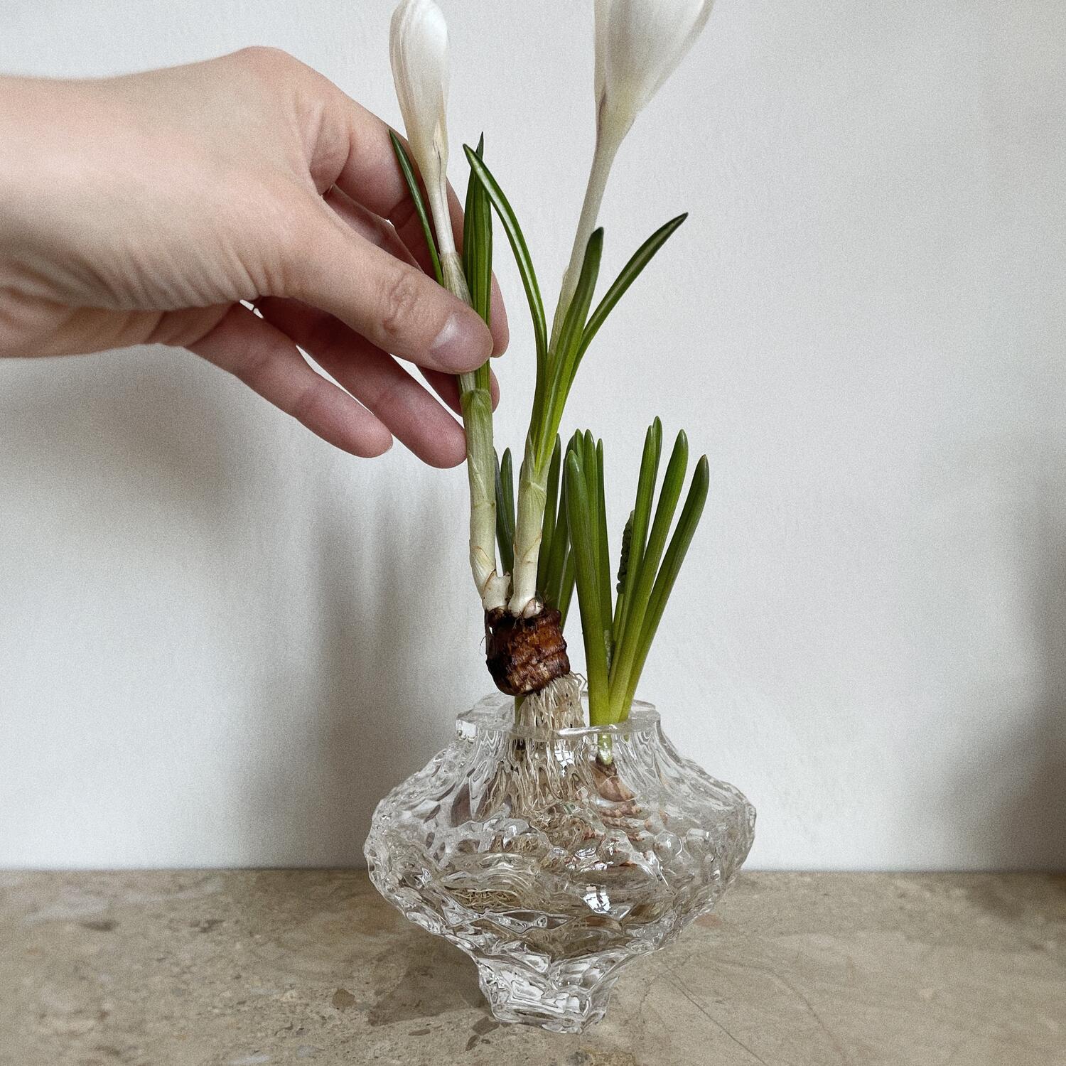 Canyon vase, lille - klar